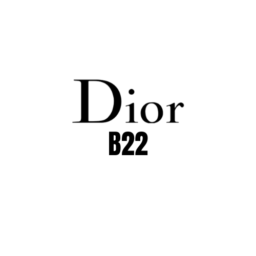 DIOR B22